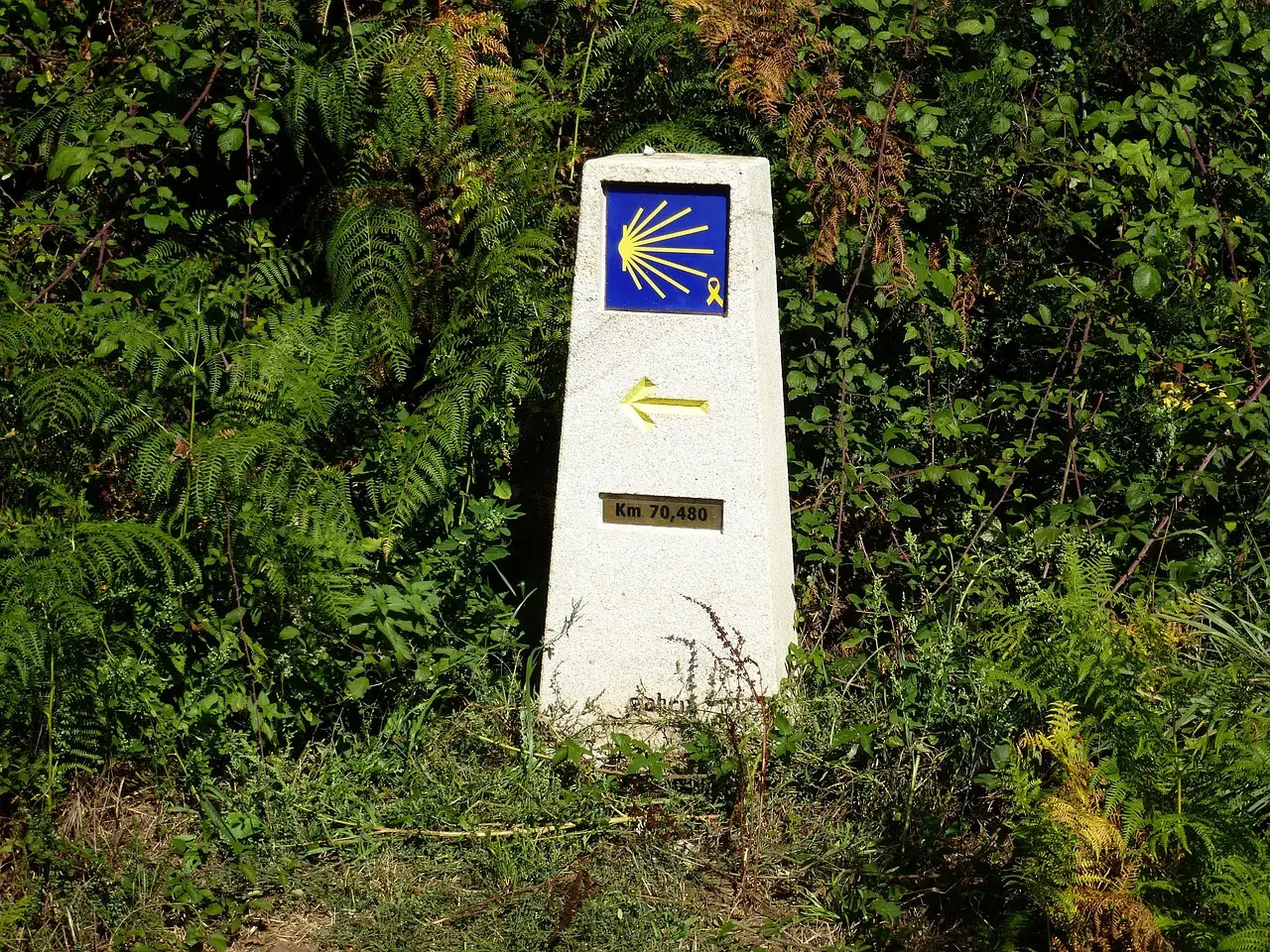 Peregrinos en el Camino de Santiago cerca de Estella